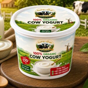 Cow Yogurt 250gram