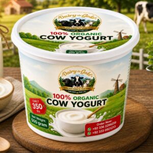 Cow Yogurt 500gram